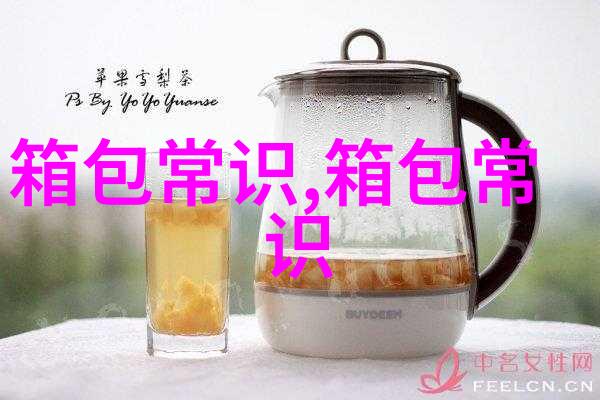 Dior Bobby 女包优雅与时尚的完美融合