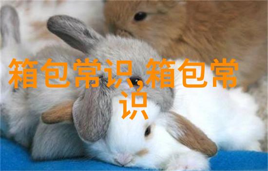 怎么京东钱包总是绑定不了我的京东帐户